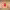 https://res.cloudinary.com/billionhands/image/upload/v1779361936/items/zqxqkpksofo2tlccppco.jpg-1cover