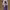 https://res.cloudinary.com/billionhands/image/upload/v1779361940/items/inmagjl3xnqypcalpngg.jpg-0cover