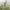 https://res.cloudinary.com/billionhands/image/upload/v1779362187/items/wpvvg6ljl40t0dorewgh.jpg-0cover