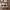https://res.cloudinary.com/billionhands/image/upload/v1779365871/items/stztr4z5g8rttsegfo2y.jpg-3cover