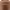 https://res.cloudinary.com/billionhands/image/upload/v1779370152/items/mhzszwm3tegyyswq1emo.jpg-2cover