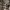 https://res.cloudinary.com/billionhands/image/upload/v1779373058/items/fkp7uzemstb4skvgrolf.webp-2cover