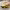https://res.cloudinary.com/billionhands/image/upload/v1779373208/items/tkmyqmbvczddrkdtp46o.avif-1cover
