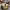 https://res.cloudinary.com/billionhands/image/upload/v1779373221/items/jj3xlxox3e43n3zbaqfv.jpg-3cover