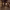 https://res.cloudinary.com/billionhands/image/upload/v1779373390/items/kv8c9wjo55oh4ppxhvr2.jpg-0cover