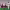 https://res.cloudinary.com/billionhands/image/upload/v1779374318/items/znxpb1jeh3qcoxnlqmqg.jpg-3cover