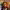 https://res.cloudinary.com/billionhands/image/upload/v1779376536/items/wyr6ioicsnfbunluyebh.jpg-0cover