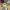 https://res.cloudinary.com/billionhands/image/upload/v1779377123/items/w9zbtpc2ls02htccv6fp.jpg-2cover