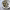 https://res.cloudinary.com/billionhands/image/upload/v1779377133/items/vosv61ana9mmhroyfuqw.jpg-2cover