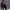 https://res.cloudinary.com/billionhands/image/upload/v1779381031/items/bodbhu0hieyuceqfxcsc.jpg-1cover
