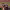 https://res.cloudinary.com/billionhands/image/upload/v1779381046/items/xrkq9kxudhhkelqystpm.png-2cover