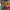 https://res.cloudinary.com/billionhands/image/upload/v1779383170/items/dl82265vsakjtrcgvqqf.jpg-2cover