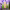 https://res.cloudinary.com/billionhands/image/upload/v1779384037/items/yh4gjvjk9gam37awmj8o.webp-1cover