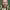 https://res.cloudinary.com/billionhands/image/upload/v1779387956/items/sdtxrmaxszs32rzdkwr7.jpg-0cover