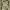 https://res.cloudinary.com/billionhands/image/upload/v1779387959/items/d4sbsk2mssiol4bwgywy.jpg-1cover