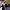 https://res.cloudinary.com/billionhands/image/upload/v1779387978/items/tnftvfkjznpezkeuzwyn.webp-2cover