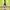 https://res.cloudinary.com/billionhands/image/upload/v1779388094/items/wjdrckd0f5w6ynpbjdb7.webp-2cover