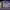 https://res.cloudinary.com/billionhands/image/upload/v1779391497/items/pl2dbxo9vekpl2ekzud7.jpg-2cover