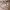https://res.cloudinary.com/billionhands/image/upload/v1779392321/items/ynlhptzpnvjhp7owdpsi.webp-0cover