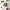 https://res.cloudinary.com/billionhands/image/upload/v1779394376/items/qqkwvfe1zaznz7whijkn.jpg-1cover