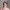 https://res.cloudinary.com/billionhands/image/upload/v1779394759/items/ixicceyoueqggr5ttqft.jpg-0cover