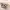https://res.cloudinary.com/billionhands/image/upload/v1779394760/items/fstn2csfo1gm7wpnzhz9.jpg-3cover