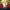 https://res.cloudinary.com/billionhands/image/upload/v1779395442/items/mwpmg4naunftktqj5xvp.webp-2cover