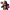 https://res.cloudinary.com/billionhands/image/upload/v1779396028/items/u1lzyf30cylkg64msvu4.png-1cover