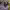 https://res.cloudinary.com/billionhands/image/upload/v1779398329/items/e5bixtbphtjwf8ilnavs.jpg-0cover