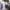 https://res.cloudinary.com/billionhands/image/upload/v1779398443/items/z5xqqyxyq0jgyf1vll9d.jpg-1cover