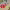 https://res.cloudinary.com/billionhands/image/upload/v1779398573/items/weakjjzbvucoucavkgkh.webp-2cover