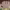 https://res.cloudinary.com/billionhands/image/upload/v1779398577/items/zlwril4y1wem5siroky2.webp-2cover