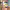 https://res.cloudinary.com/billionhands/image/upload/v1779398578/items/cwprpsiyjbx0o5wankee.webp-2cover