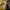 https://res.cloudinary.com/billionhands/image/upload/v1779399273/items/pbnlhss817u9jjohpz4h.jpg-1cover