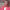 https://res.cloudinary.com/billionhands/image/upload/v1779405962/items/ea2lwnjf5g6v7ko66tg4.jpg-2cover