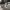 https://res.cloudinary.com/billionhands/image/upload/v1779408566/items/krrdv4nk1aebrkmtslxx.webp-1cover