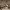 https://res.cloudinary.com/billionhands/image/upload/v1779408631/items/jhjwl4kifngsfhpdvukg.webp-2cover
