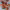 https://res.cloudinary.com/billionhands/image/upload/v1779408912/items/mylpoxifbpigjqxotzz5.jpg-3cover