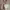 https://res.cloudinary.com/billionhands/image/upload/v1779409509/items/mmhvh9orcxpxfvjunikb.webp-2cover