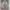 https://res.cloudinary.com/billionhands/image/upload/v1779411738/items/afjamxvfmfhjg486bsfg.jpg-2cover