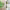 https://res.cloudinary.com/billionhands/image/upload/v1779412334/items/twgoc9oew1sthx2plcya.jpg-2cover