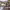 https://res.cloudinary.com/billionhands/image/upload/v1779412577/items/uyn43brdujfgiha7v8vk.jpg-2cover