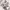 https://res.cloudinary.com/billionhands/image/upload/v1779413667/items/mwnqlg6hqr5cuj83owfy.jpg-2cover