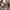 https://res.cloudinary.com/billionhands/image/upload/v1779413924/items/hooupb3ox69lxiuyvvrd.jpg-3cover