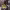 https://res.cloudinary.com/billionhands/image/upload/v1779416374/items/xjt39ux3bxurife8vysu.jpg-0cover