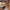 https://res.cloudinary.com/billionhands/image/upload/v1779416375/items/t5twgifmq1gpnvhghcnr.jpg-0cover