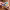 https://res.cloudinary.com/billionhands/image/upload/v1779419411/items/tdy8qekuvalgcellkwvp.webp-2cover