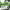 https://res.cloudinary.com/billionhands/image/upload/v1779420056/items/nzmz6kkuaxxmjlilyhb4.png-2cover