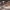 https://res.cloudinary.com/billionhands/image/upload/v1779424678/items/xhxmqzlcroodbr5ywigm.jpg-2cover