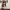 https://res.cloudinary.com/billionhands/image/upload/v1779425984/items/zctw8qwicbihncyk7avd.webp-3cover